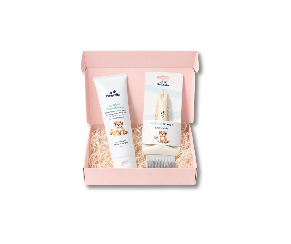 Pflege Set Glanz