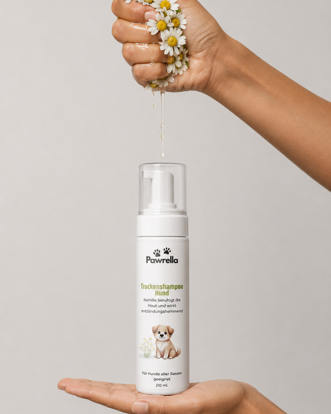 Trockenshampoo Hund mit Kamille