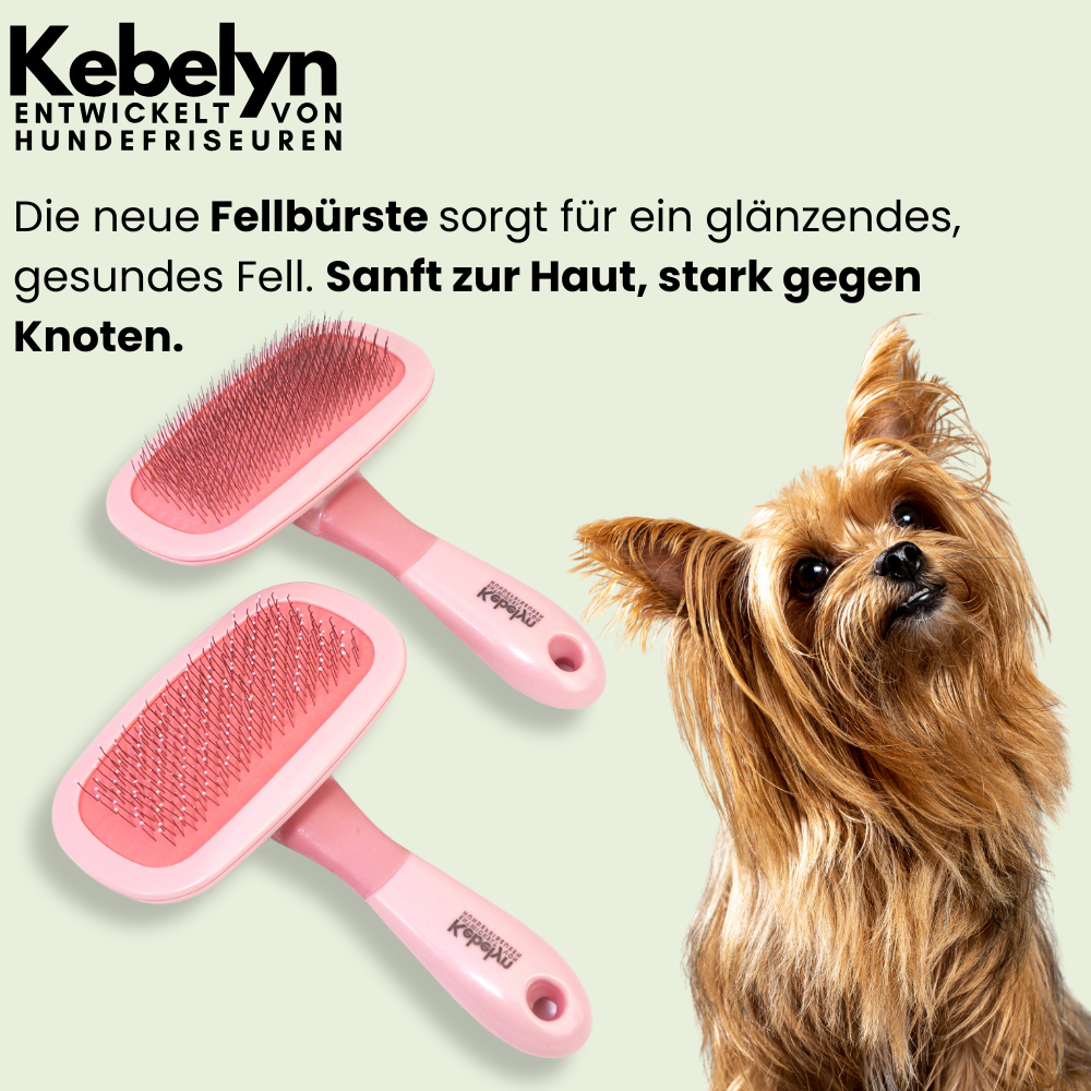 Fellbürste - für Hunde und Katzen