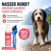 Sommer-Set
