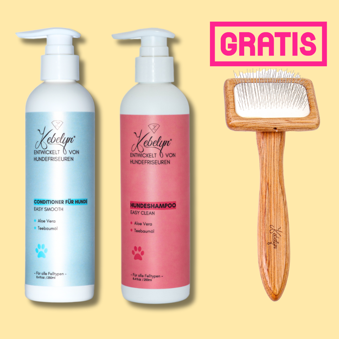 Easy Clean + Easy Smooth mit GRATIS Bürste