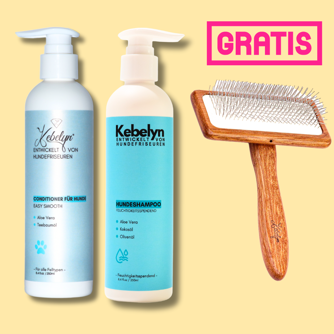 Feuchtigkeitsshampoo und Conditioner + gratis Woody Bürste L