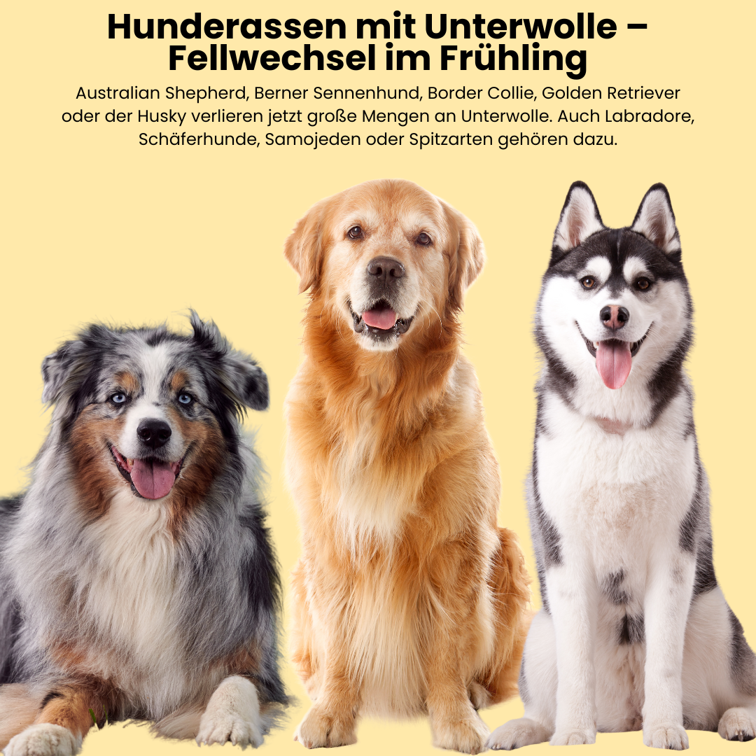 Easy Clean + Easy Smooth mit GRATIS Bürste