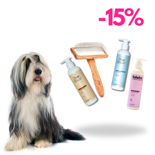 Bearded Collie Pflege Set