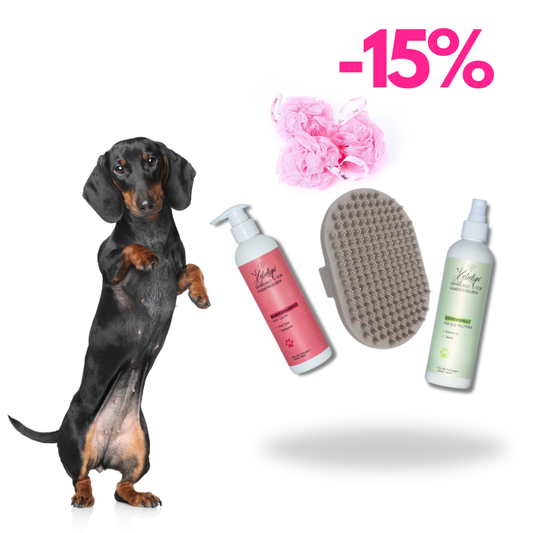 Dackel Pflege Set