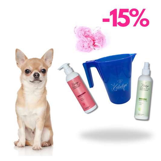 Kurzhaar Chihuahua Pflege Set