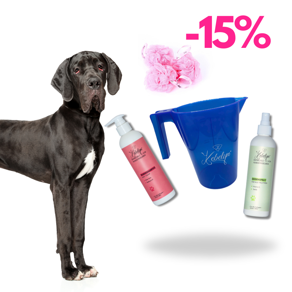 Deutsche Dogge Pflege Set