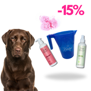 Labrador Pflege Set