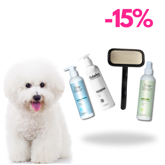 Bologneser Pflege Set