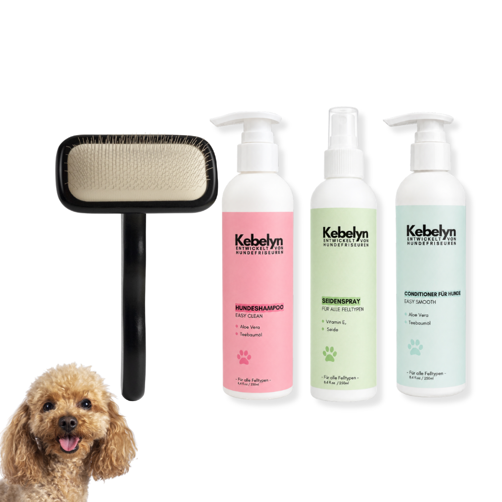 Pudel Pflege Set