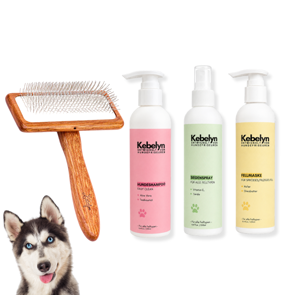 Husky Pflege Set