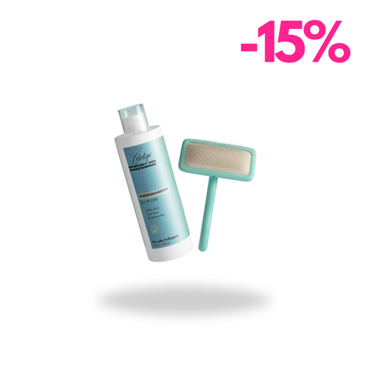 All In One mit Bürste