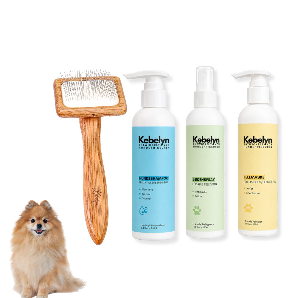 Pomeranian Pflege Set