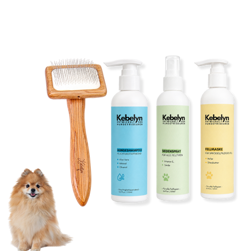 Pomeranian Pflege Set