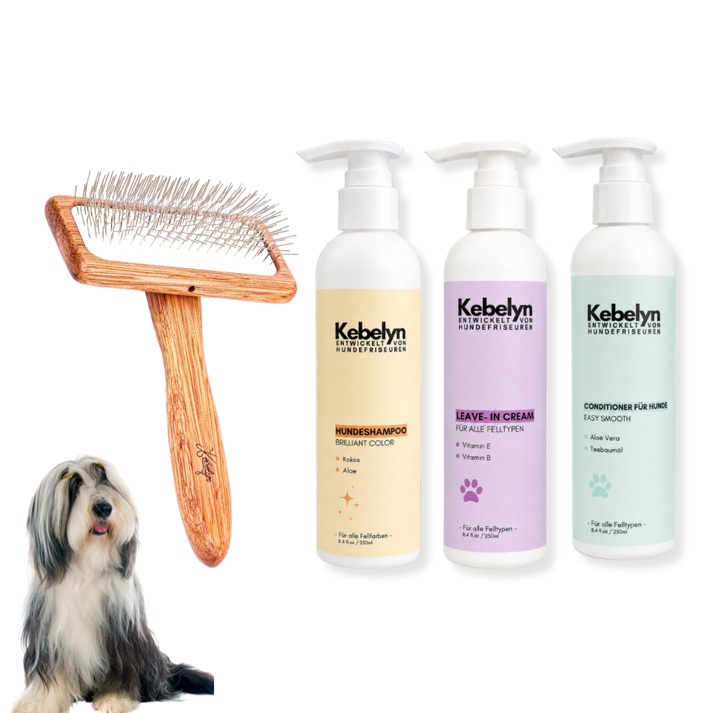 Bearded Collie Pflege Set
