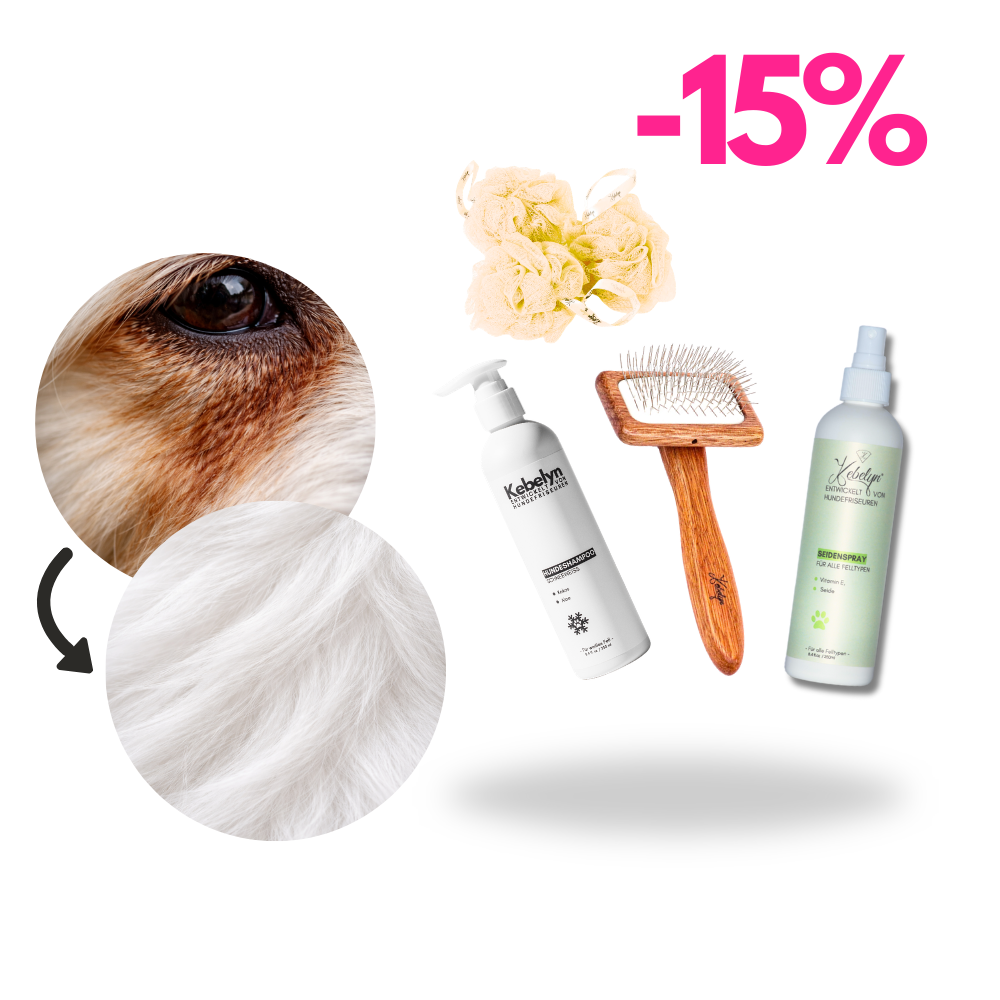 Verfärbtes Fell Pflege Set