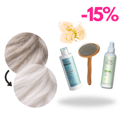 Stadthunde Pflege Set