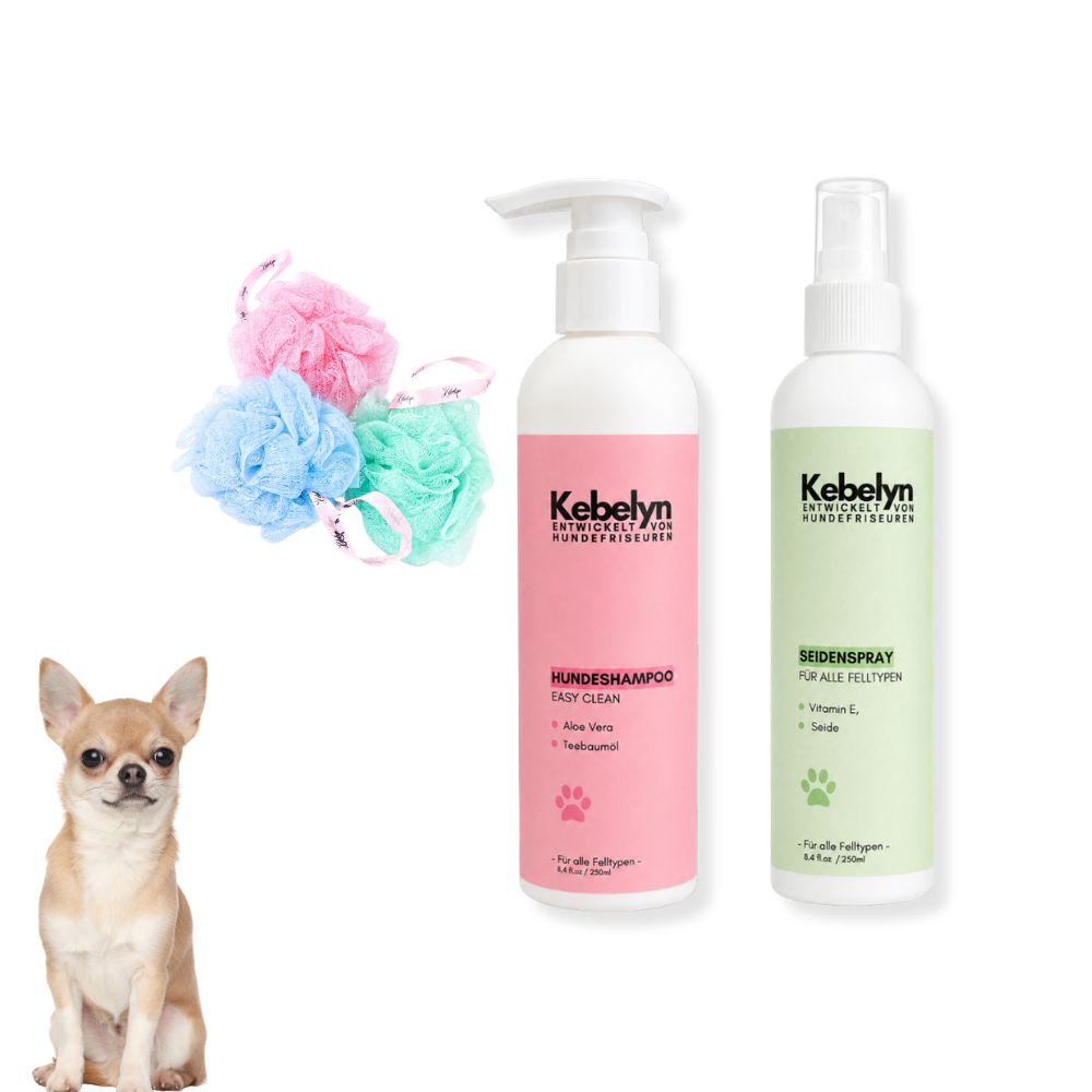 Kurzhaar Chihuahua Pflege Set