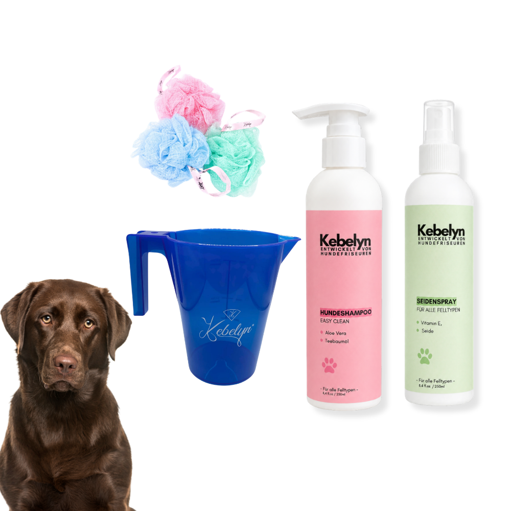 Labrador Pflege Set