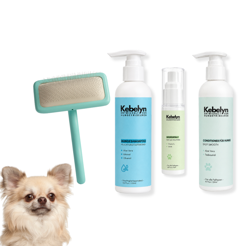 Langhaar-Chihuahua Pflege-Set