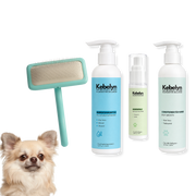 Langhaar-Chihuahua Pflege-Set