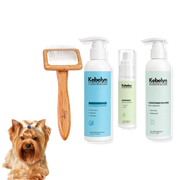 Yorkshire Terrier Pflege Set