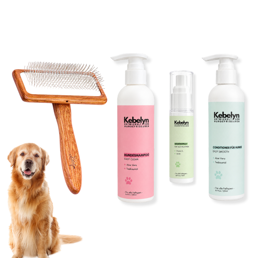 Golden Retriever Pflege-Set