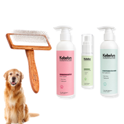 Golden Retriever Pflege-Set