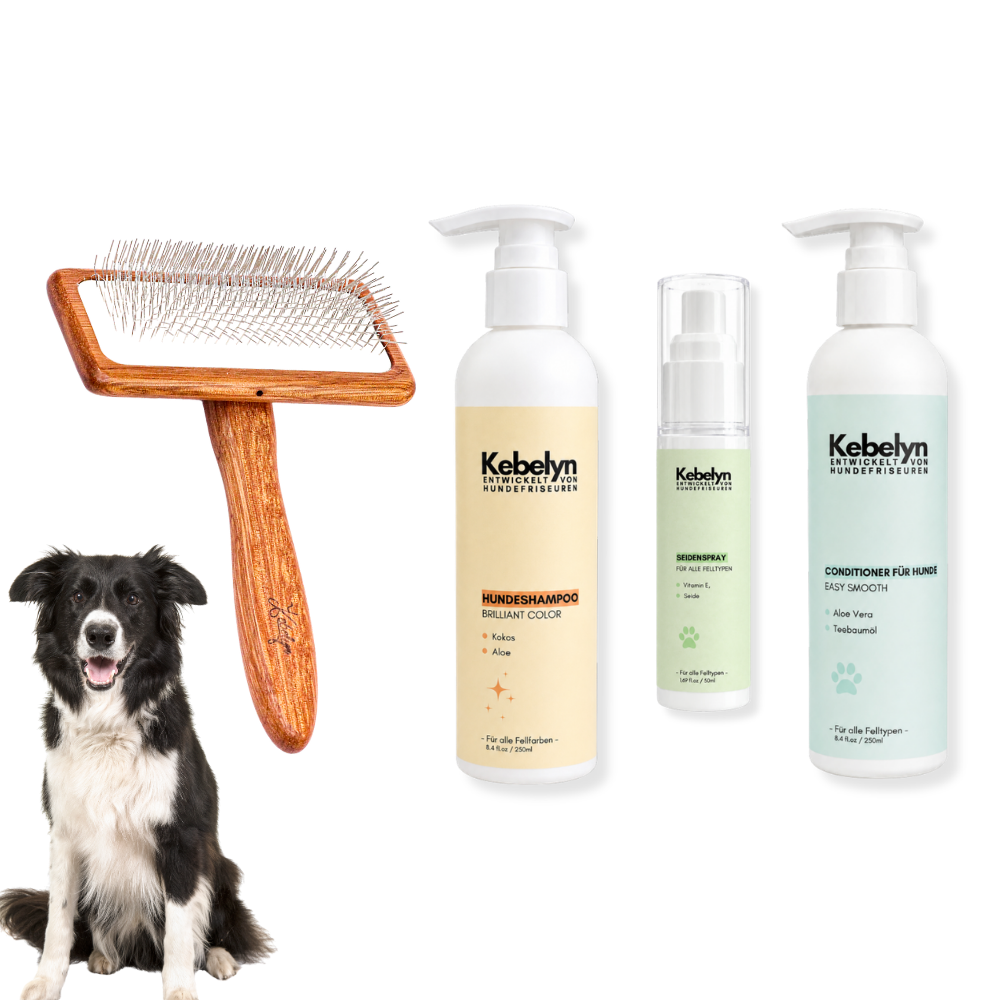 Border Collie Pflege-Set