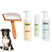Border Collie Pflege-Set