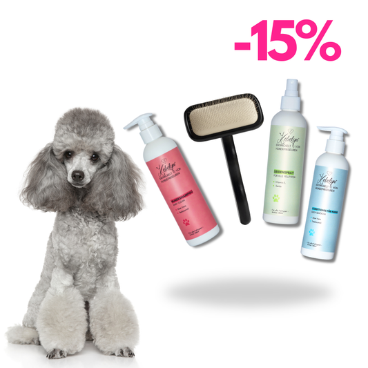 Pudel Pflege Set