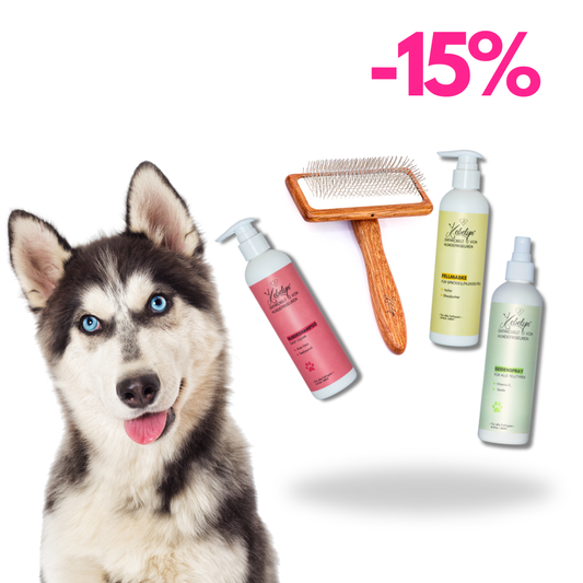 Husky Pflege Set