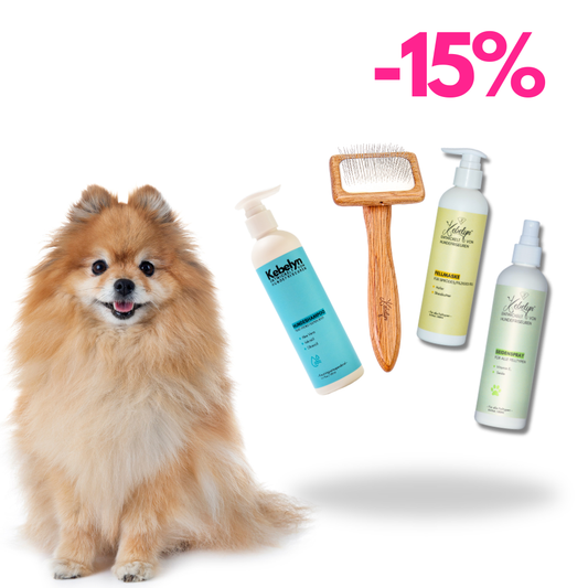 Pomeranian Pflege Set