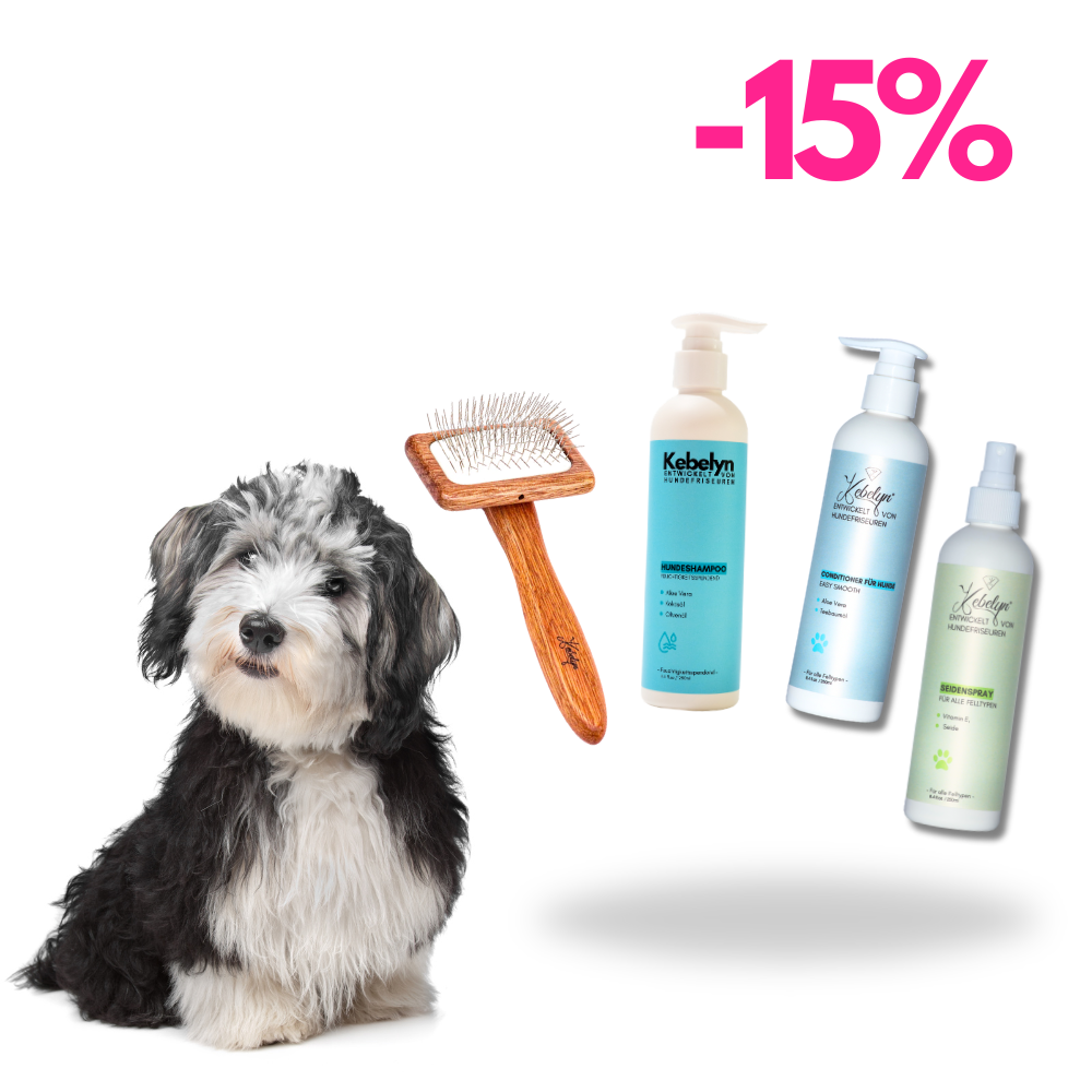 Havaneser Pflege Set
