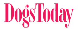 logo-banner-1