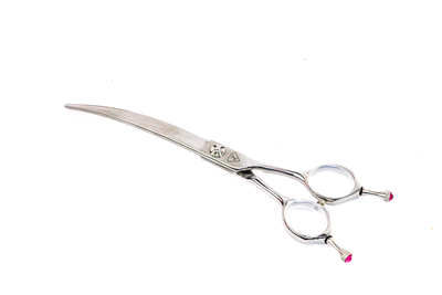 Scissor strong curved 30 ° 7.5 inches