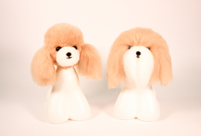 Model head poodle and bichon
