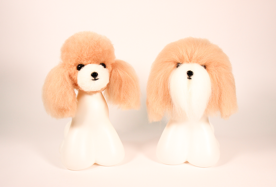 Modelkopf Pudel und Bichon verschiedene Farben